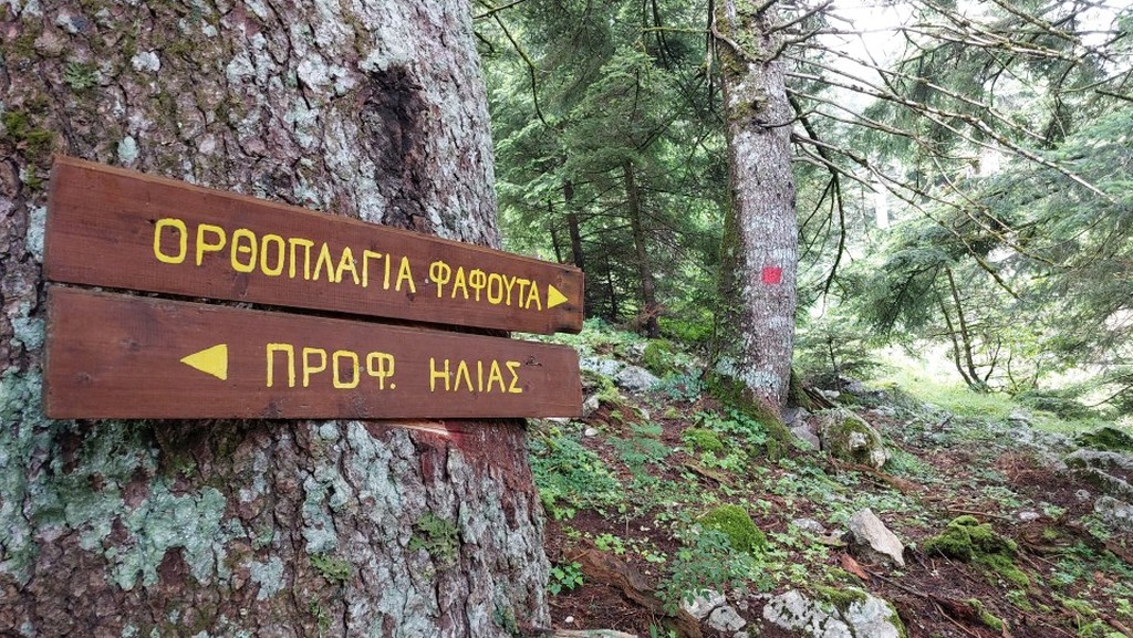 image 08