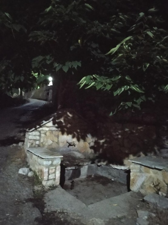 ΒΛΥΖΙΑΝΑ ΒΡΥΣΗ