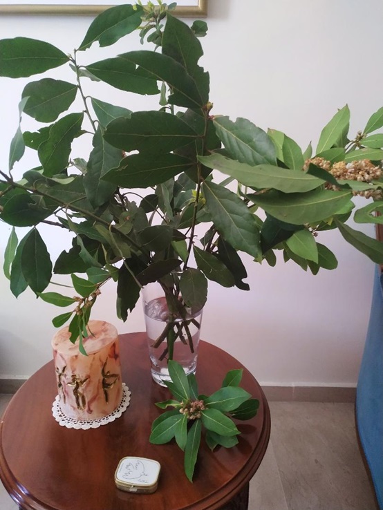 photo 02