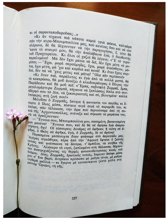 ortans 2
