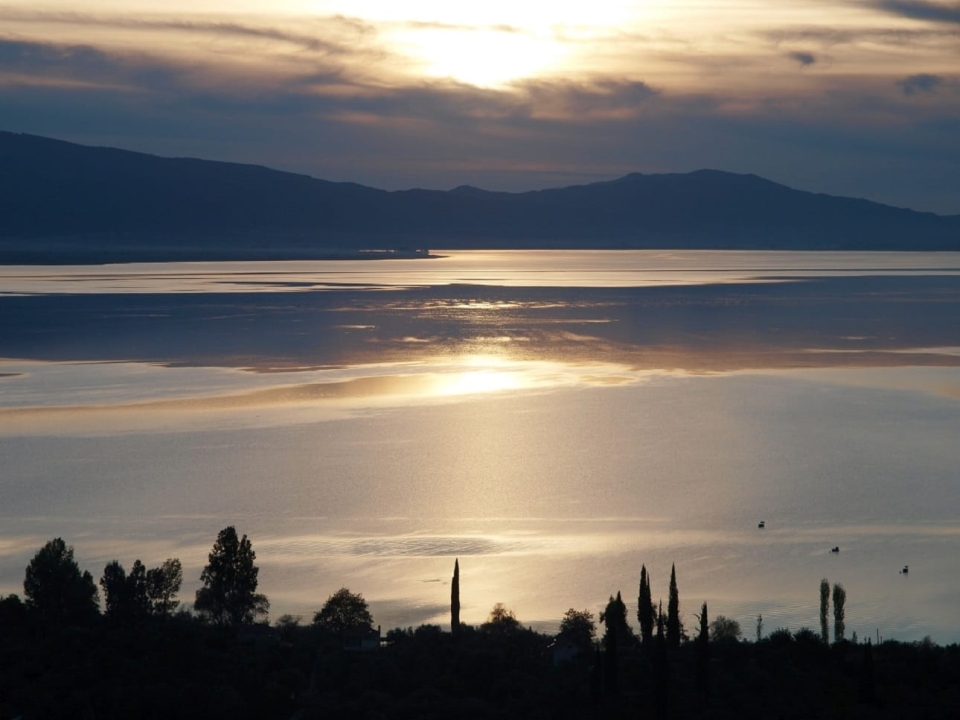 image 06
