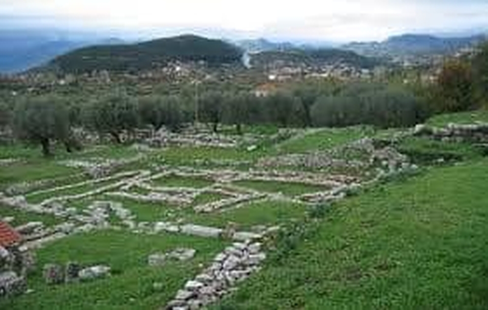 image 09