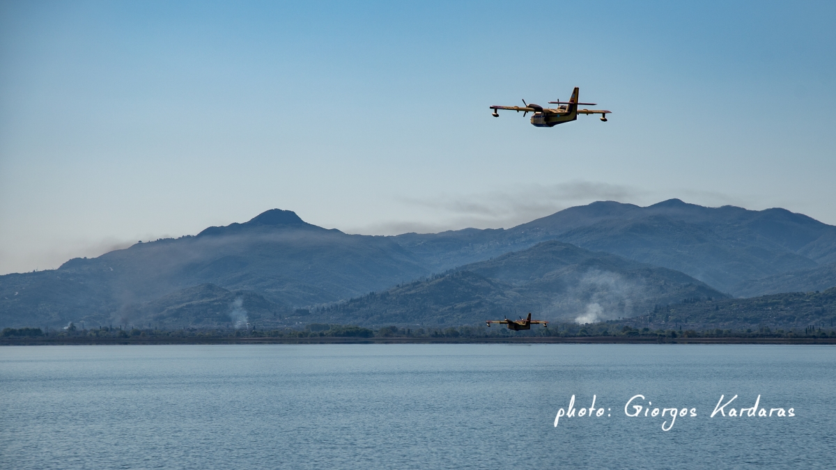 trixonida canadair 06