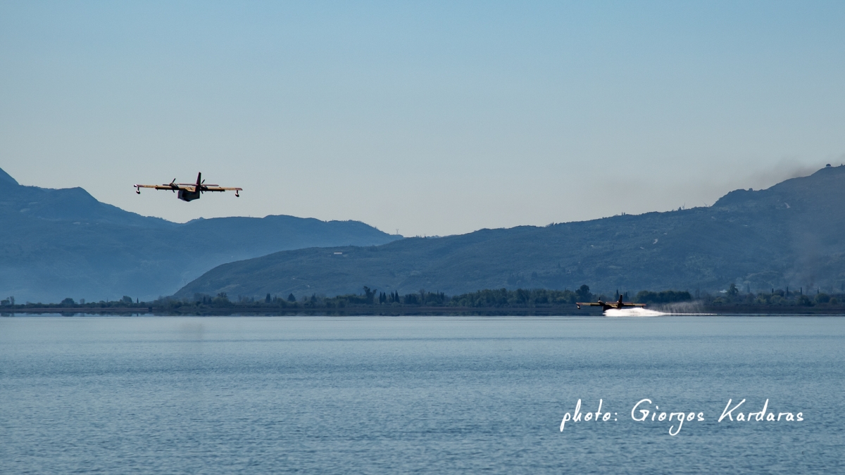 trixonida canadair 07