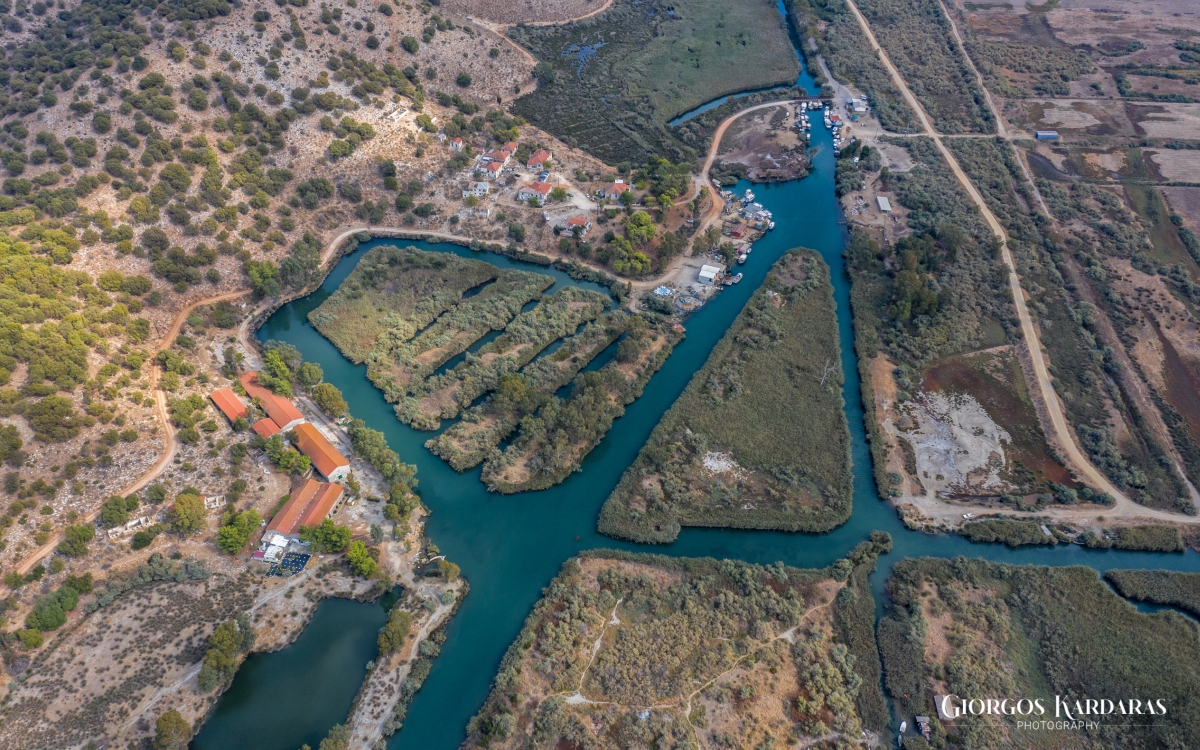 βαλτί αστακού 08