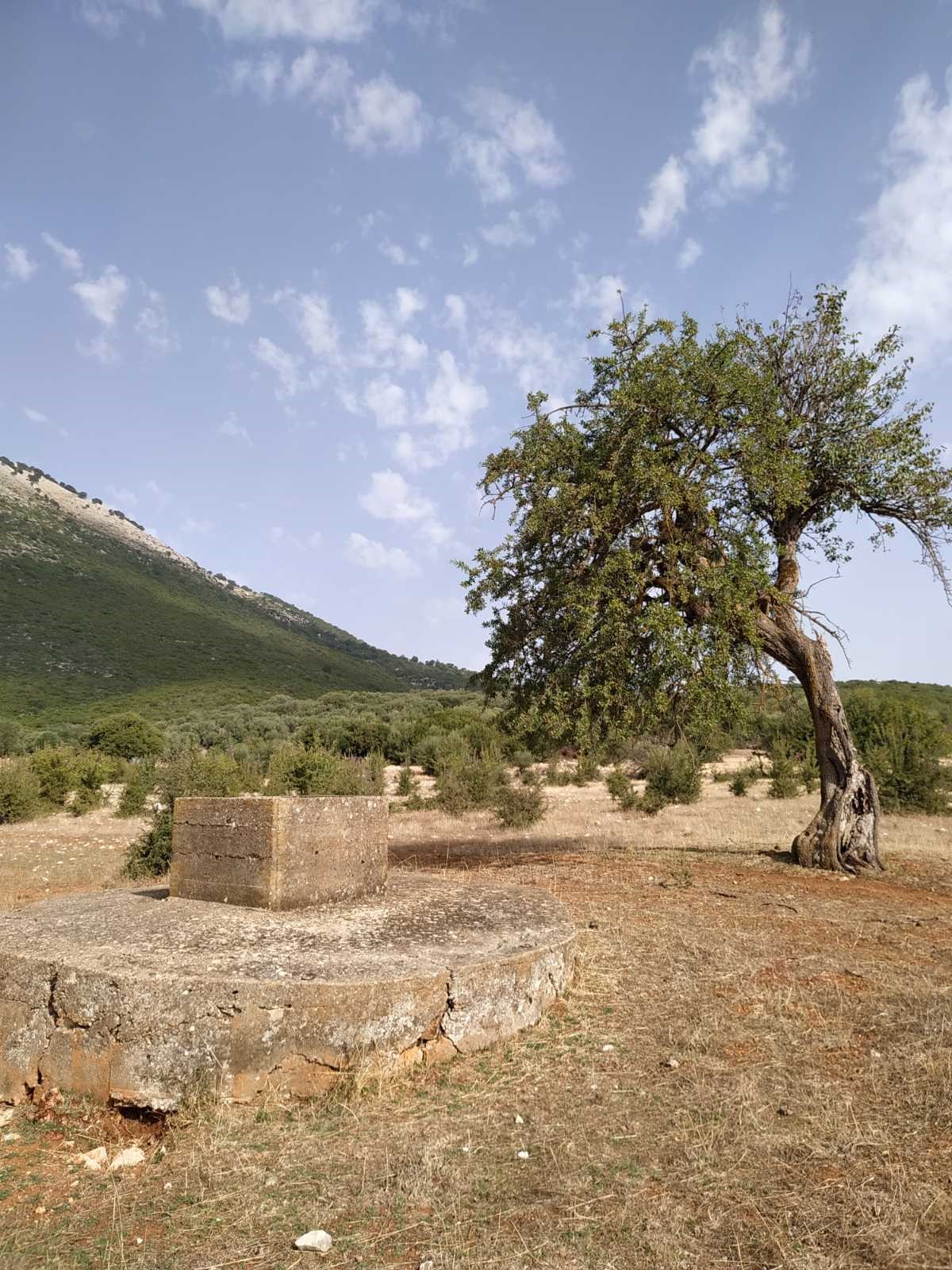 βριστιανα ξηρομερου 15