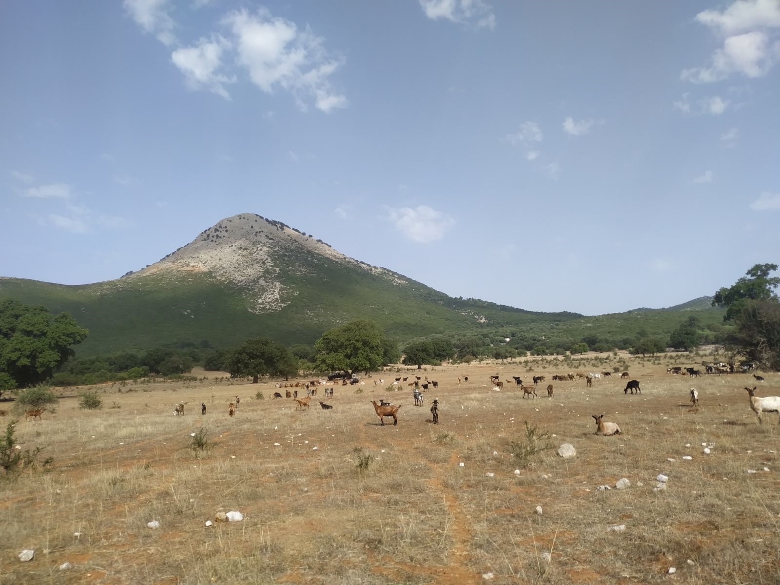 βριστιανα ξηρομερου 17