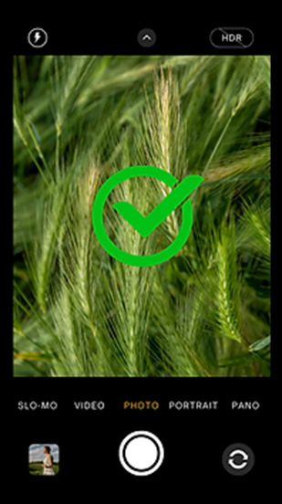 PhytoEpignosi-1.jpg