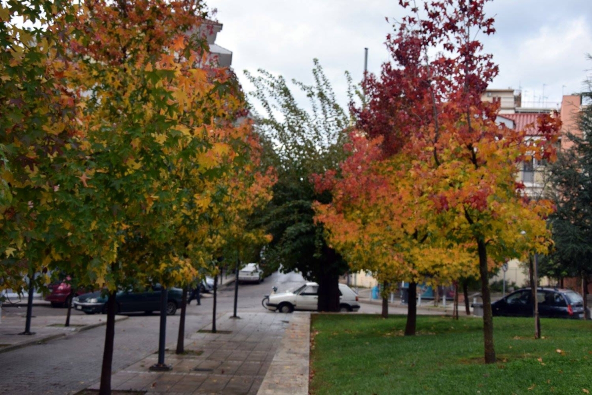 autumn in agrinio 2017 03