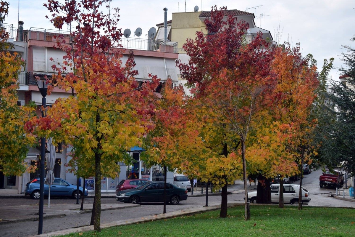 autumn in agrinio 2017 04