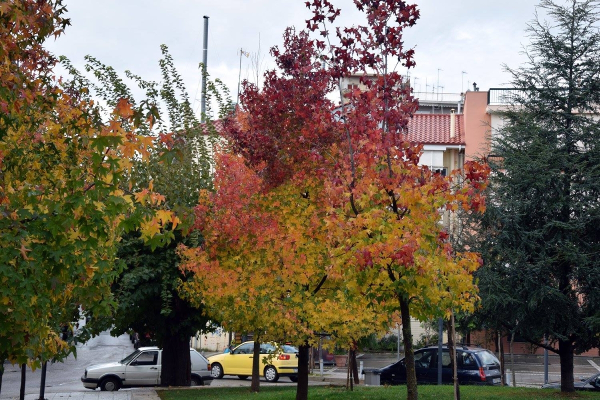 autumn in agrinio 2017 30