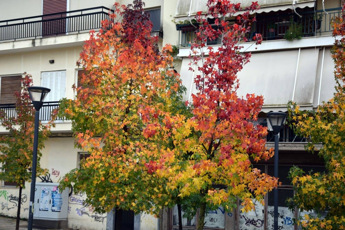 autumn in agrinio 2017 32