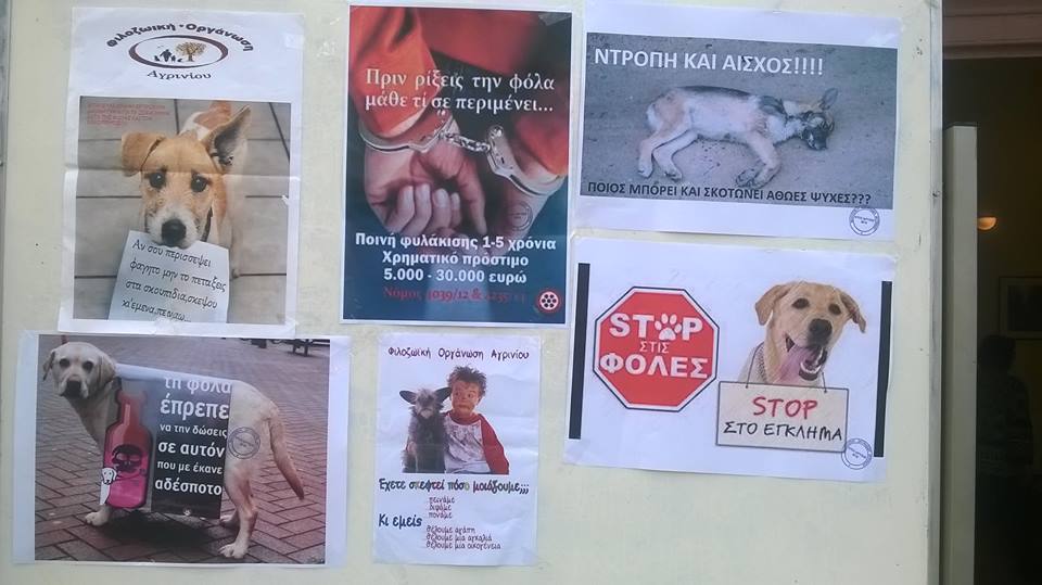 filozoiki 4