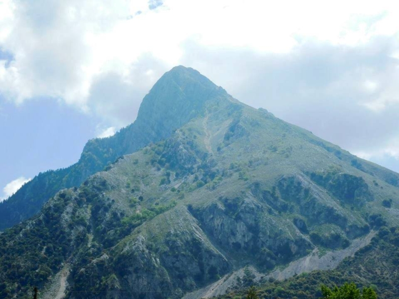 image 006