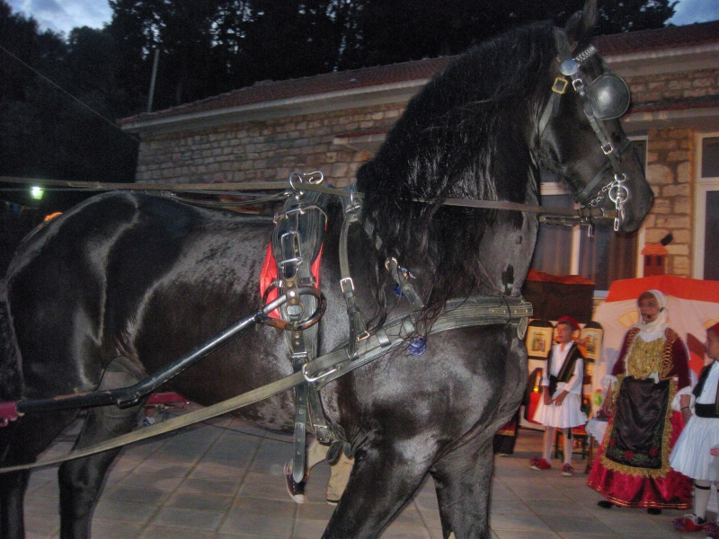 paradosiakos gamos 48