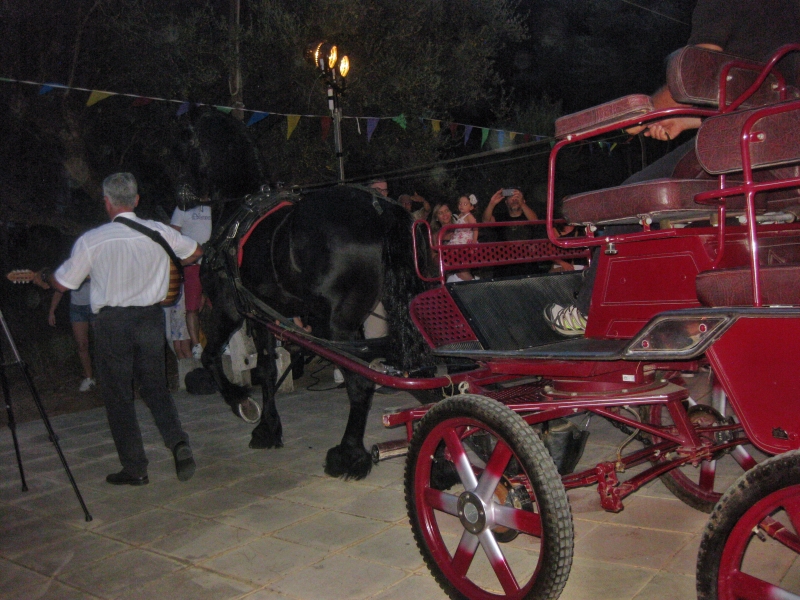 paradosiakos gamos 49