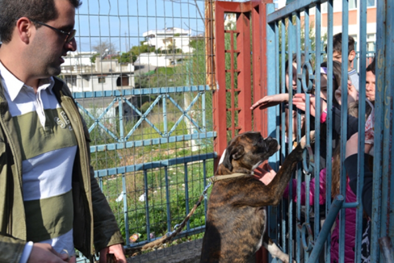 Αγρίνιο: Οι μαθητές ευαισθητοποιούνται για τα αδέσποτα (φωτό)