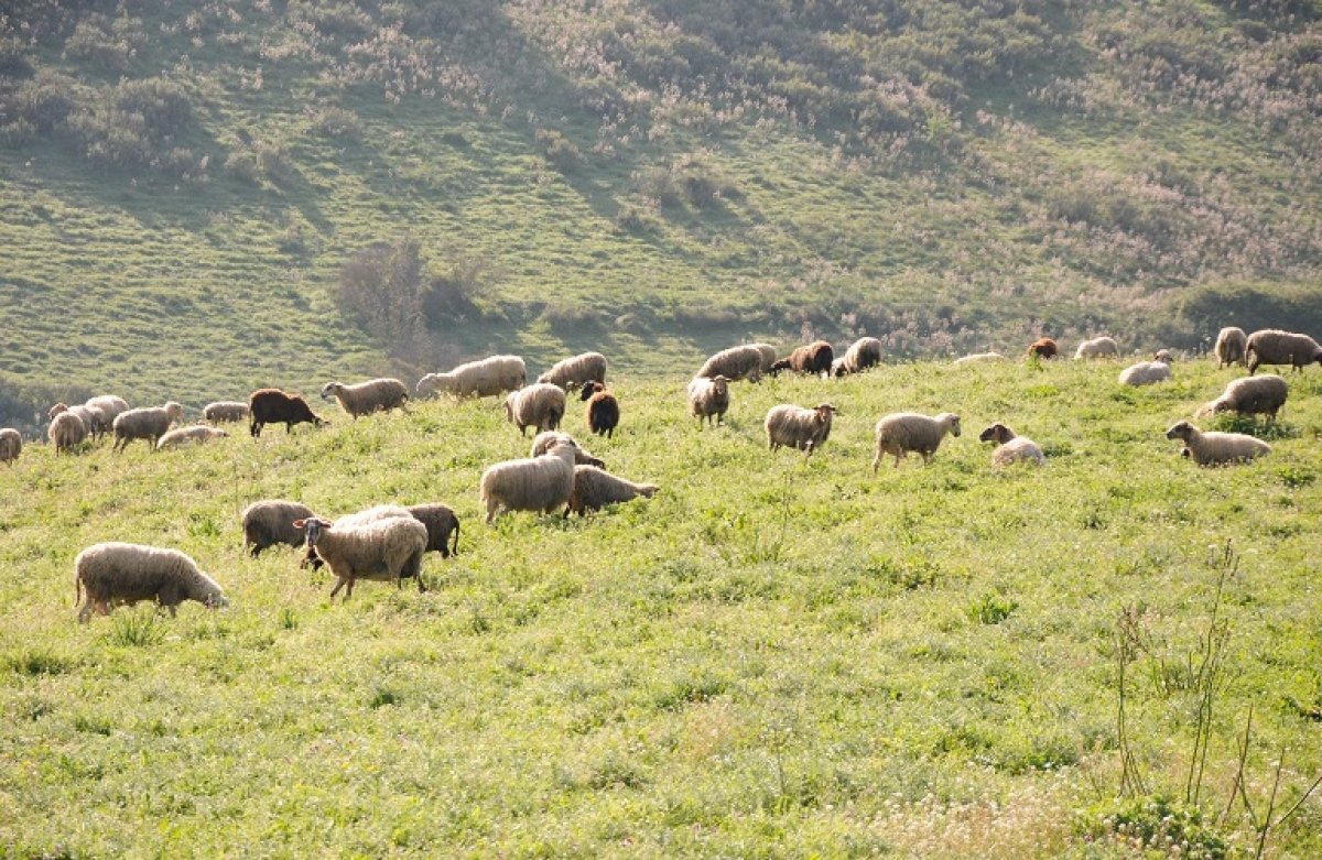 Από 12 έως 25 Ιανουαρίου οι ενστάσεις για την Εξισωτική