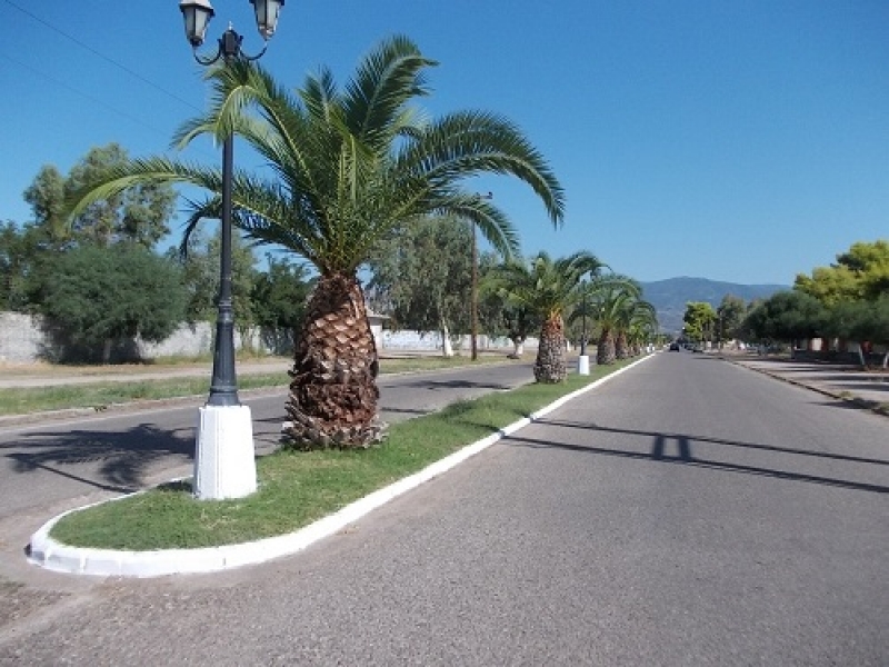 Παρεμβάσεις αισθητικής βελτίωσης και καθαριότητας στον δήμο Μεσολογγίου