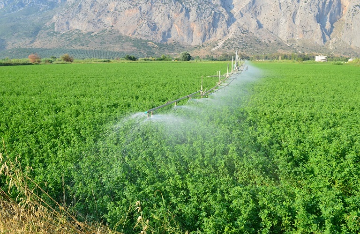 Παραμένει στα ύψη το κόστος παραγωγής