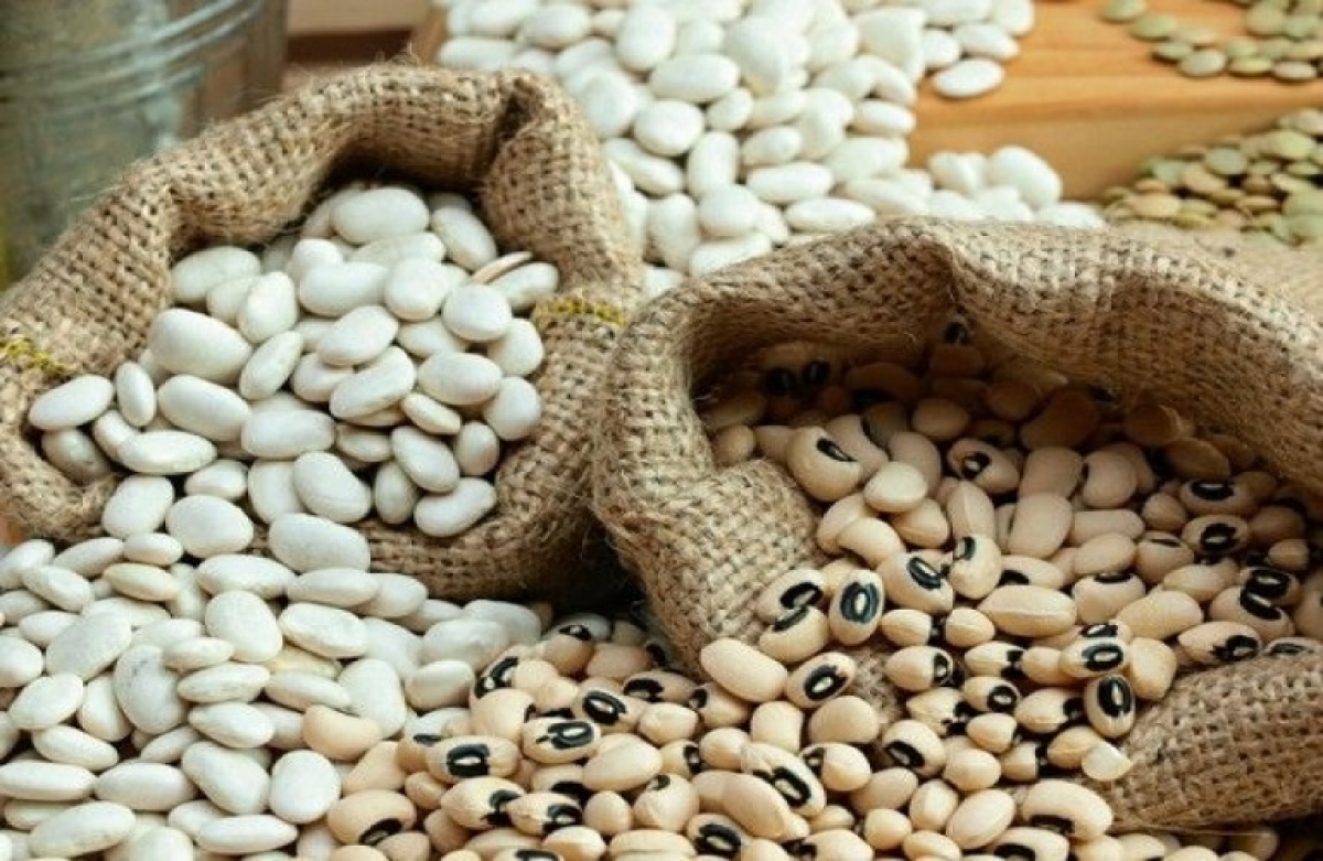 Φασόλια: ποικιλίες και ...χρήσιμες πληροφορίες