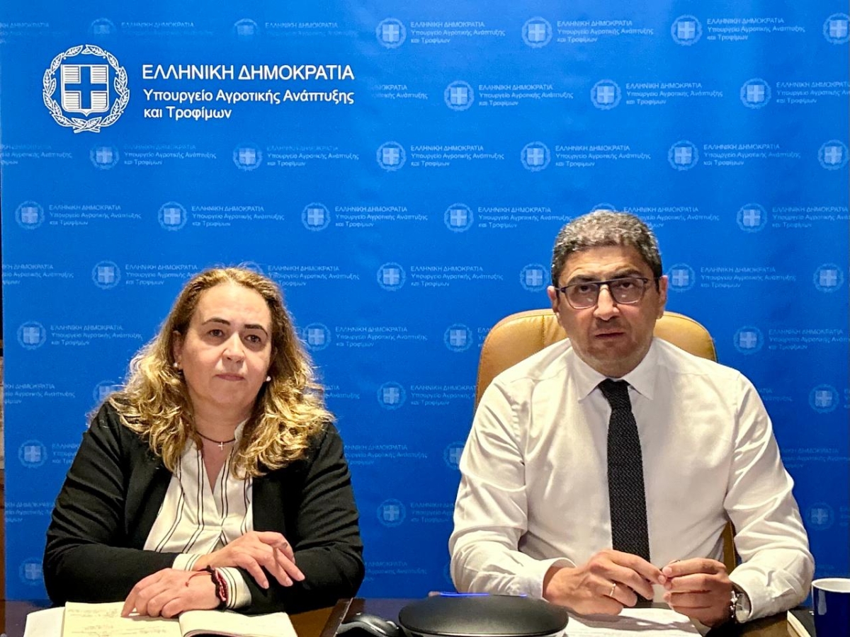 ΥπΑΑΤ, Λευτέρης Αυγενάκης: Η συνεργασία μας με τον Παγκόσμιο Οργανισμό Τροφίμων (FAO) επεκτείνεται και σε θέματα αλιείας- Διαδικτυακή συνάντηση με τον Εκτελεστικό Γραμματέα της Γενικής Επιτροπής Αλιείας για την Μεσόγειο