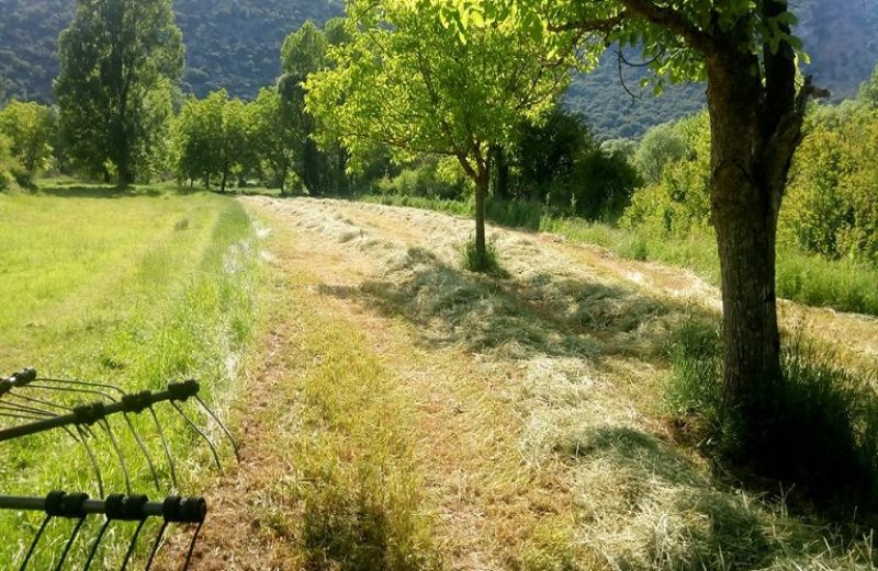 Πληρωμή 2 εκατ. ευρώ από ΟΠΕΚΕΠΕ