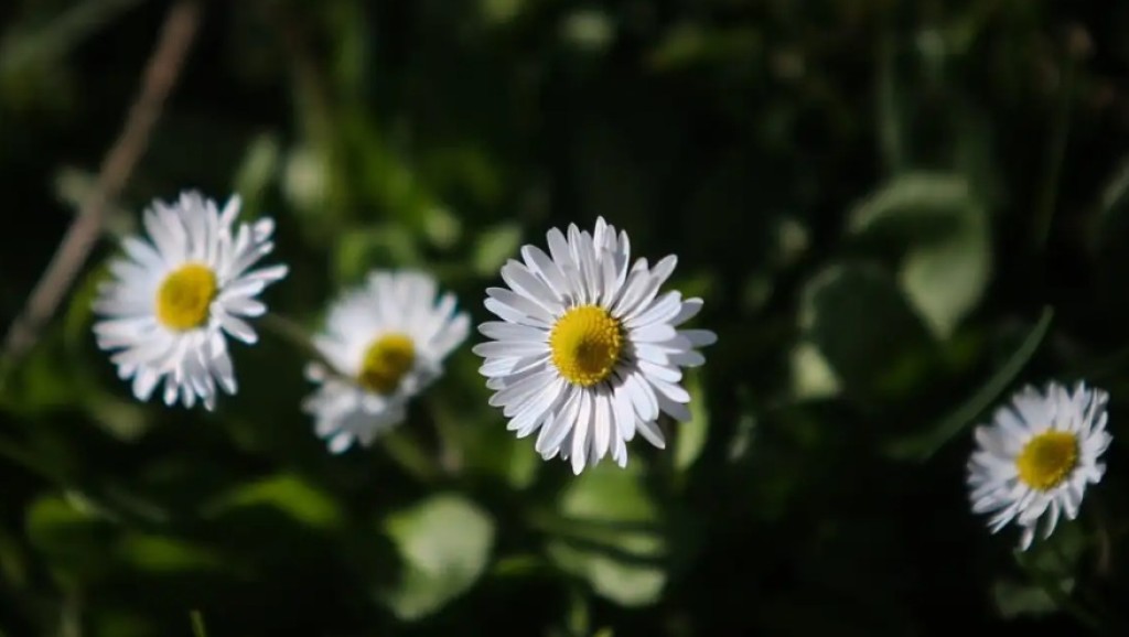 Καιρός: Ανοιξιάτικος σήμερα Τρίτη 3 Μαρτίου με την θερμοκρασία να φτάνει τους 20 βαθμούς
