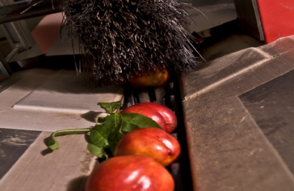 Συστήματα ποιότητας: έως τις 29 Ιανουαρίου οι αιτήσεις