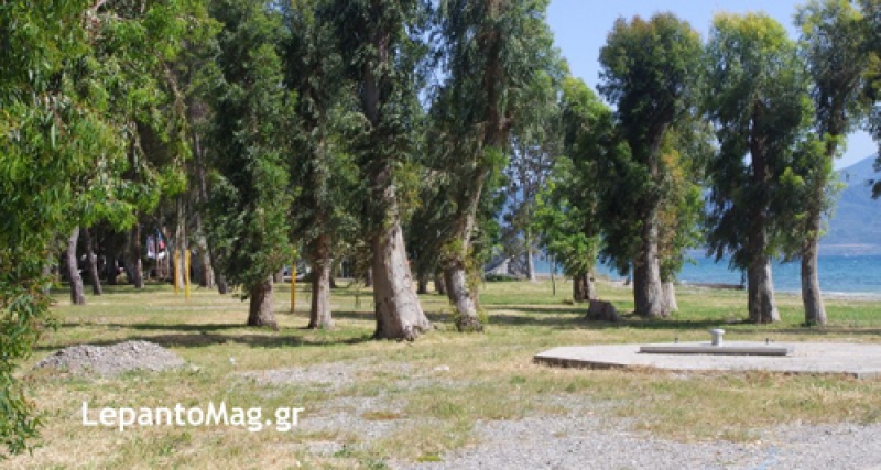 Αλσύλλιο Γριμπόβου: Με στόχο την αναβάθμισή του