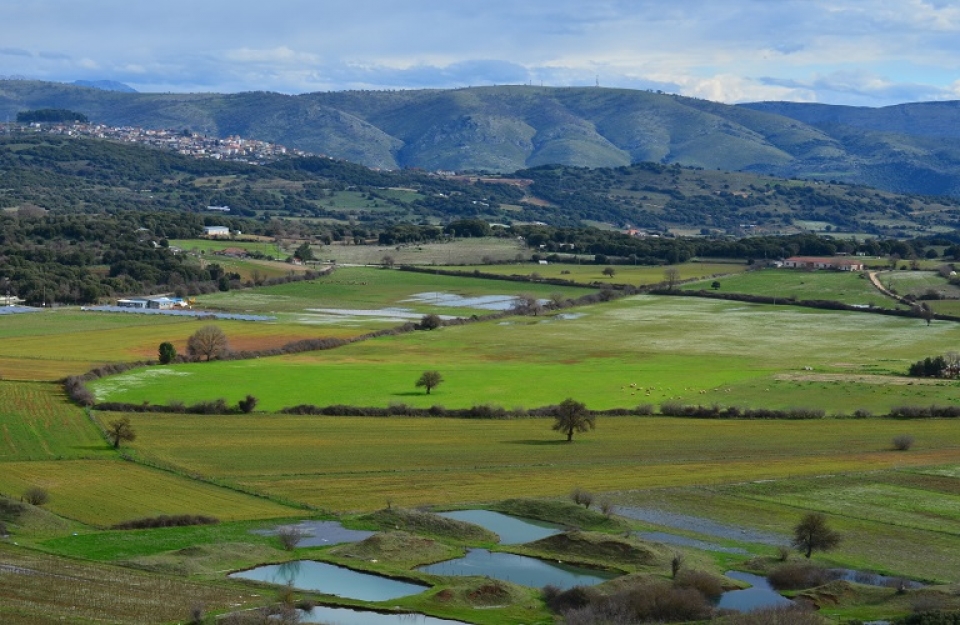 Εθνικό Απόθεμα: ολοκληρώθηκε η χορήγηση δικαιωμάτων βασικής ενίσχυσης