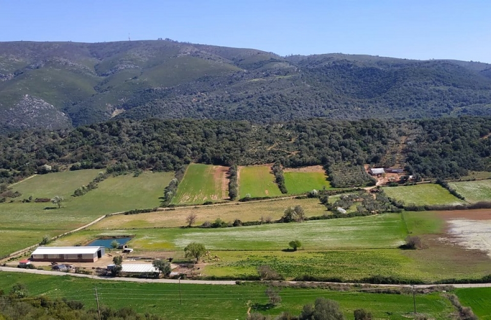 Κορωνοενισχύσεις και αποζημιώσεις στην κοινοβουλευτική αντιπαράθεση