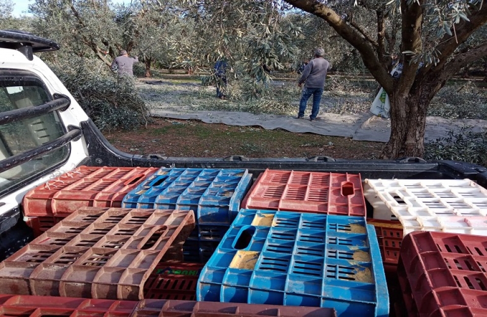 Ακατάσχετες και αφορολόγητες οι ενισχύσεις Covid-19 αγροτών