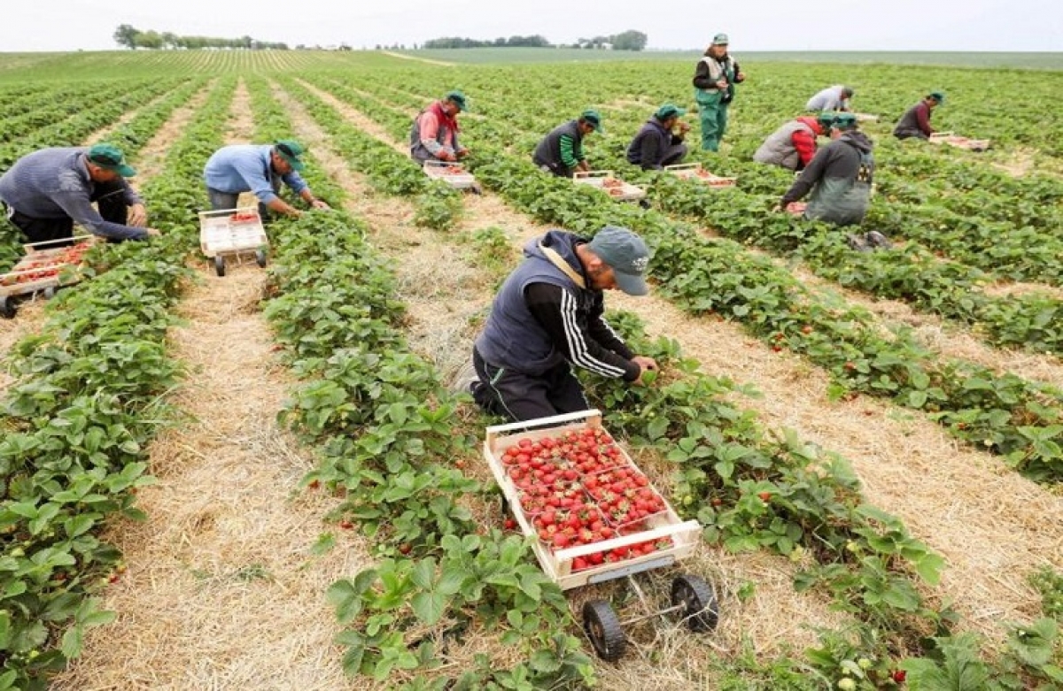 Άνοιξε ο δρόμος για τους εργάτες γης