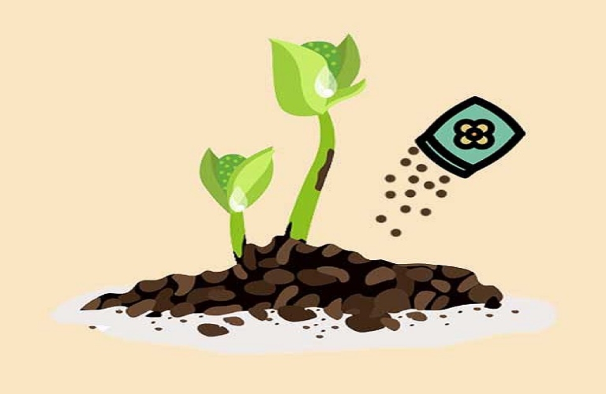 ΣΠΕΛ: Έλλειψη εθνικού νομοθετικού πλαισίου στα λιπάσματα