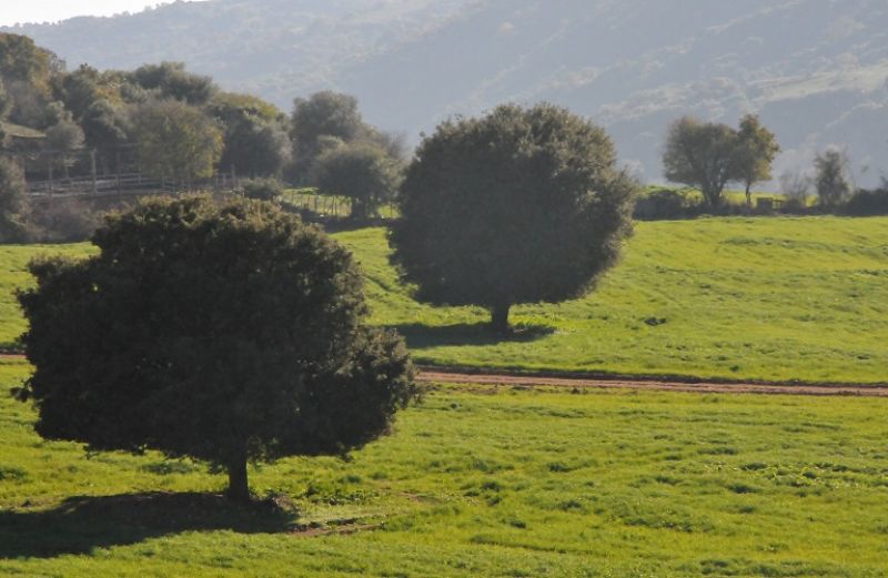 Εθνικό Απόθεμα: χορηγήθηκαν δικαιώματα αξίας 18,2 εκατ. ευρώ σε 26.690 δικαιούχους