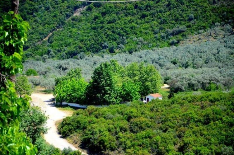 Πανηγυρίζει το ξωκλήσι της Αγίας Παρασκευής στη Σπολάιτα (Πεμ 25 - Παρ 26/7/2019)
