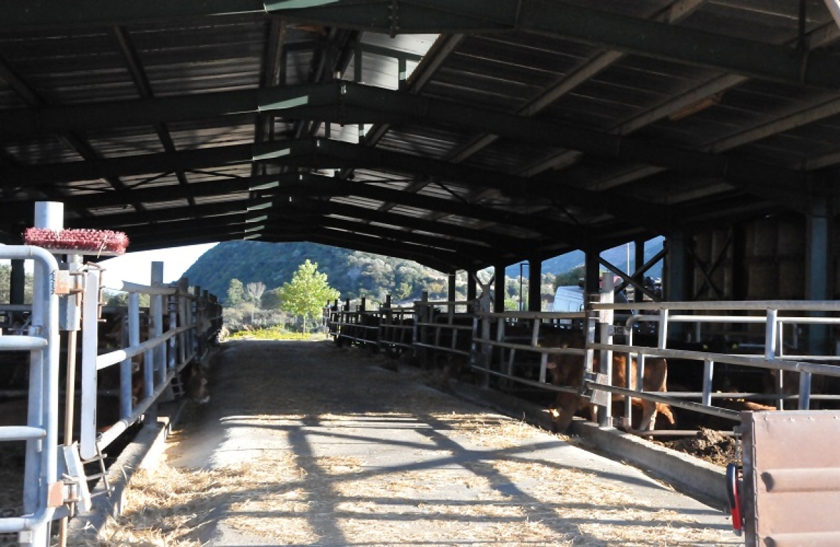 Στη Βουλή το νομοσχέδιο για τις σταβλικές εγκαταστάσεις