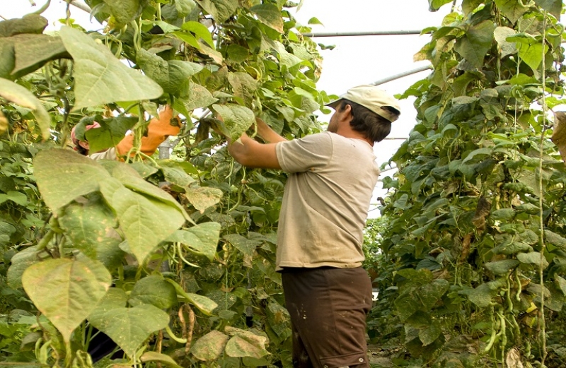 Εισφορά αλληλεγγύης: Καταργείται για ένα χρόνο