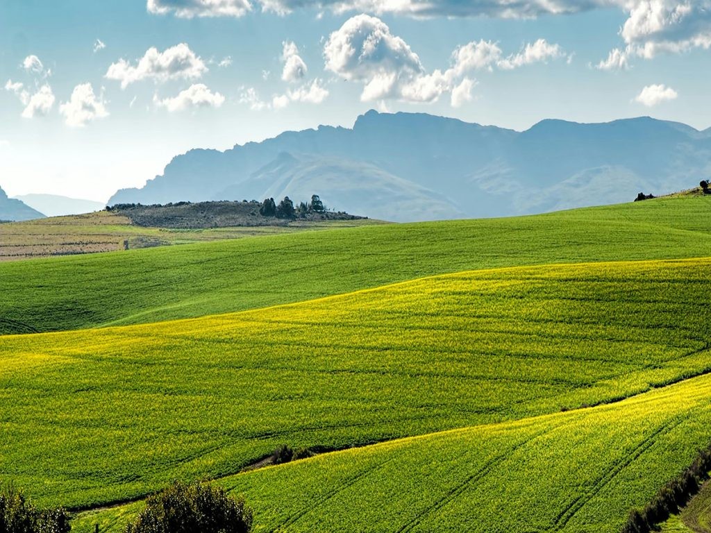 Παρατείνεται η προθεσμία ολοκλήρωσης υλοποίησης των έργων στο πλαίσιο του Leader - ΠΑΑ 2014-2022 || Νέα καταληκτική ημερομηνία: 31 Οκτωβρίου 2025
