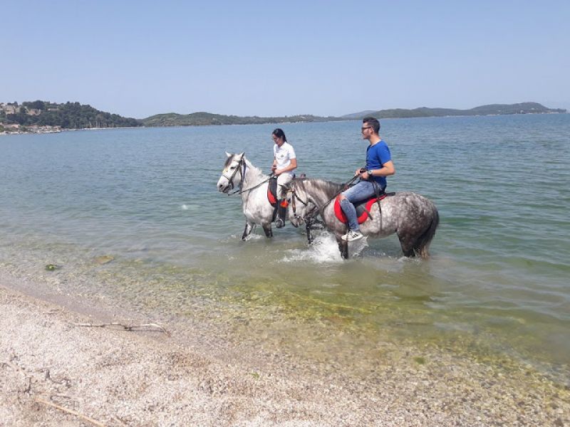 Πρωτομαγιά και γιορτή αλόγου στη ΒΟΝΙΤΣΑ (ΦΩΤΟ)