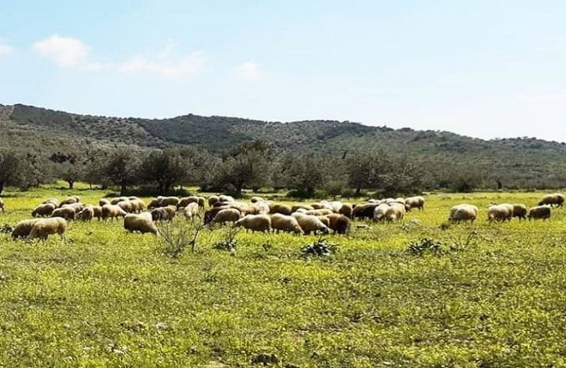 Σπάνιες Φυλές: από 24 έως και 30 Ιουλίου οι ενστάσεις