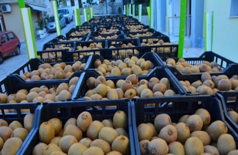 Οδηγίες συσκευασίας - μεταφοράς ακτινιδίων