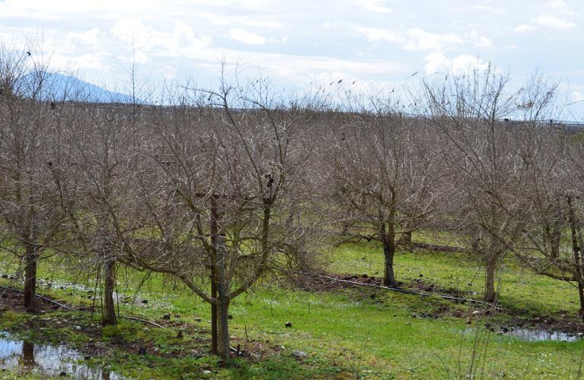 Αλλαγές σε δικαιούχους και προϋπολογισμό για το Κομφούζιο