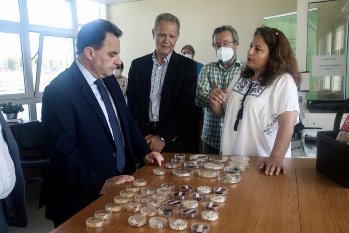 &quot;Artemis ΙΙ&quot;: Ψηφιακό τείχος προστασίας ενάντια στις ελληνοποιήσεις - Γ. Γεωργαντάς: «Χρέος μας να διαφυλάξουμε τον πλούτο της χώρας και τον μόχθο των παραγωγών»