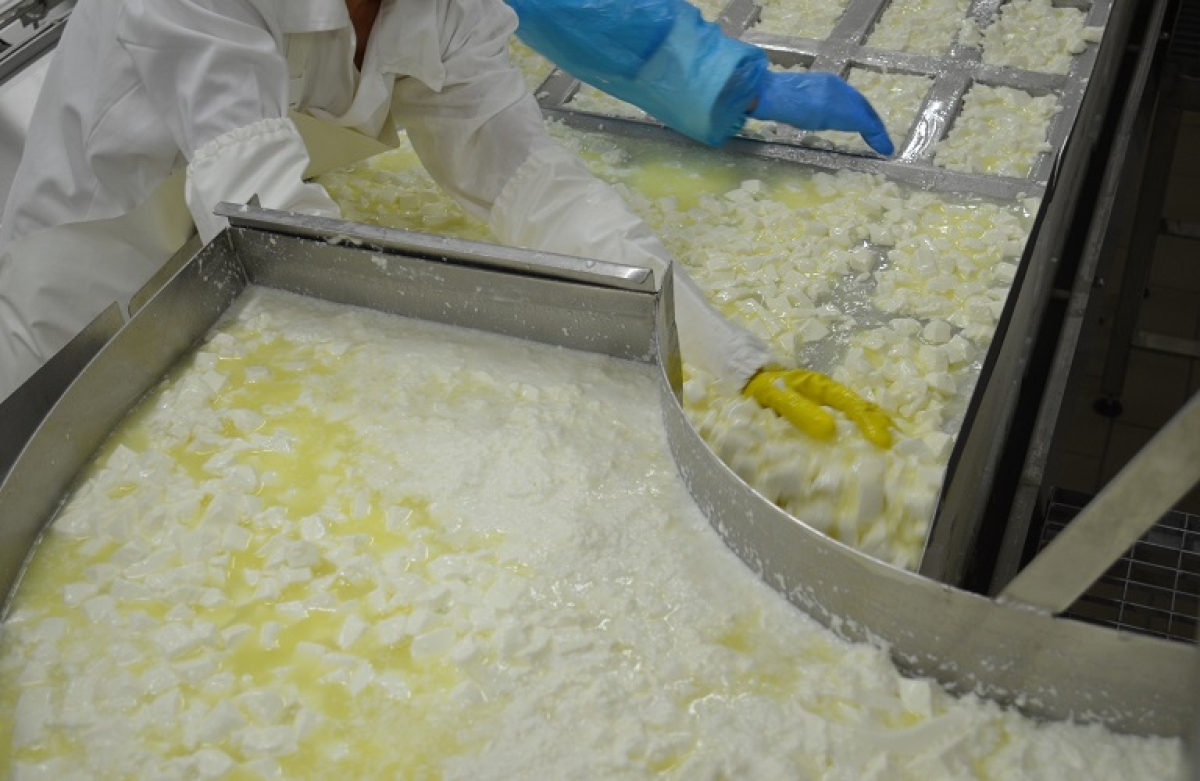 Δημόσια διαβούλευση για το νέο «Σήμα Επισκέψιμου Τυροκομείου»