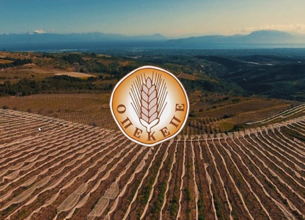 ΔΥΠΑ: Προσωρινά αποτελέσματα για 100 προσλήψεις στον ΟΠΕΚΕΠΕ