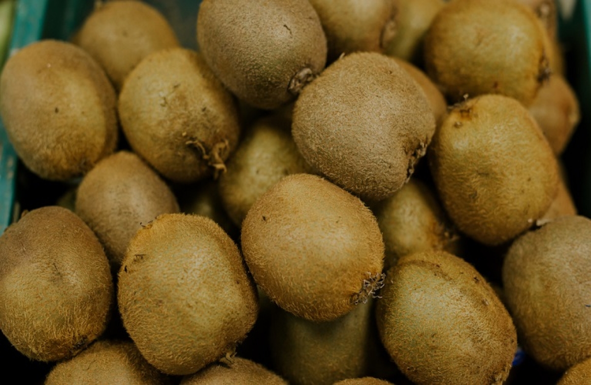 Εξαιρούνται ακτινίδια και κλημεντίνες από το εμπάργκο της Λευκορωσίας