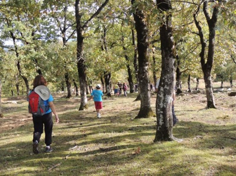 Μικρές πεζοπορίες του Ορειβατικού Συλλόγου Αγρινίου κάθε Κυριακή
