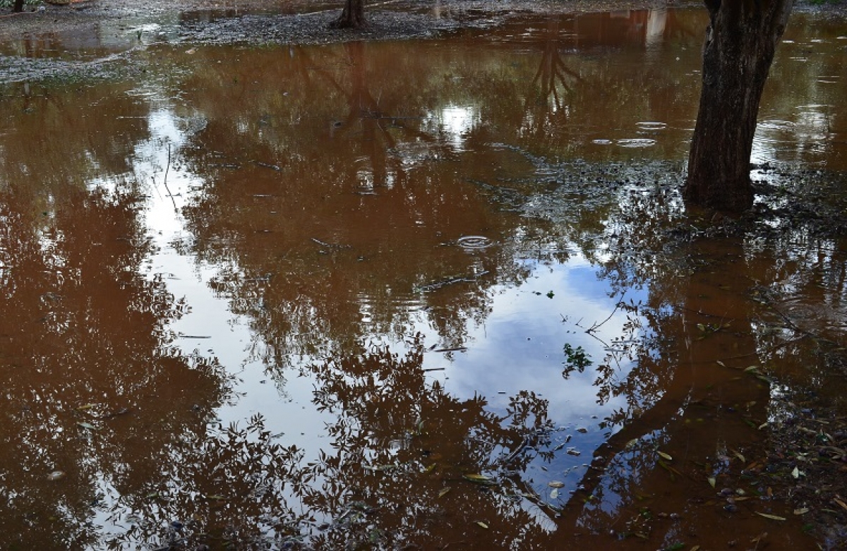 ΕΛΓΑ το μεγαλείο σου